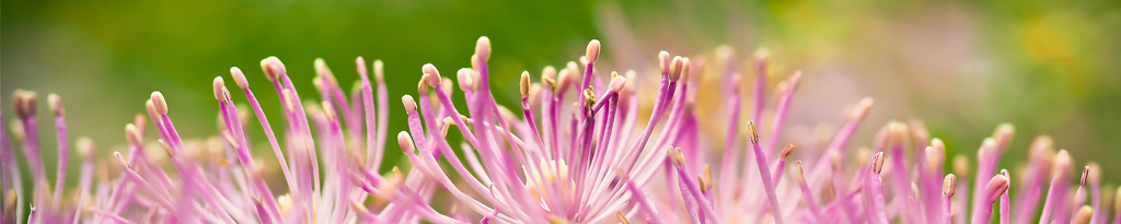 achtsam berührt sein ❂ partnerschaft.tiefere beziehungen.kommunikation ❂gefühle.emotionen.empathie❂
persönliche entwicklung ❂ coaching.persönlichkeitsentwicklung ❂
ganzheitliche körperarbeit und psychotherapie ➺naturtherapie ➺ ❂ hamburg.hannover.bremen