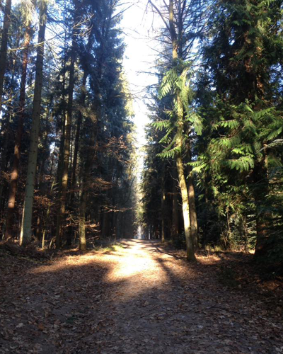 durchatmen und loslassen, urlaub und auszeit geniessen, lneburger heide, bad fallingbostel